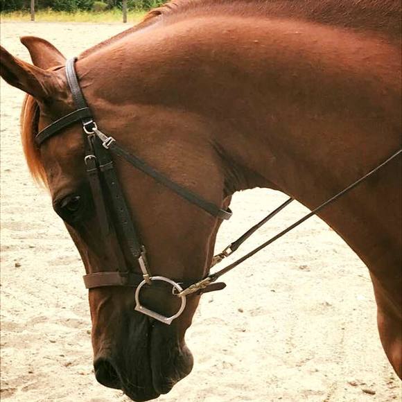 Meet your Posher, Donalda - Picture 1 of 1